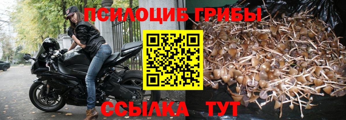 Галлюциногенные грибы Magic Shrooms  Вход с VPN  Белгород  Галлюциногенные грибы ЛСД 